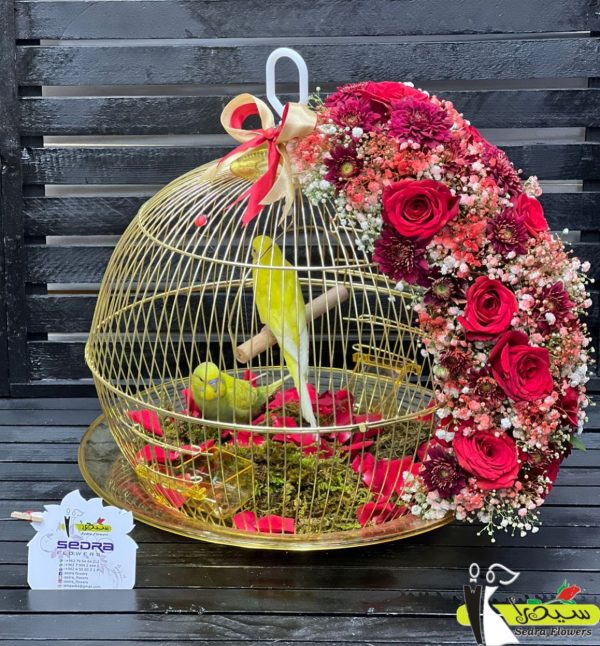 96d70c23-3411-4e30-9b9e-1764145b6f8e