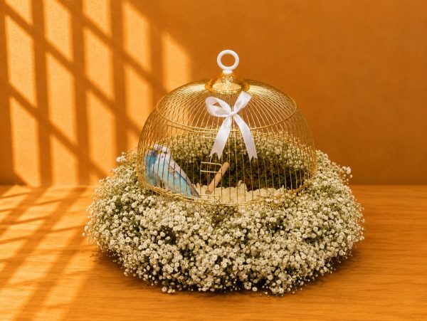 Love Bird Cage 9