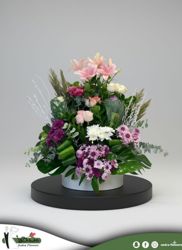 WhatsApp Image 2025-09-25 at 2.50.17 PM (1)