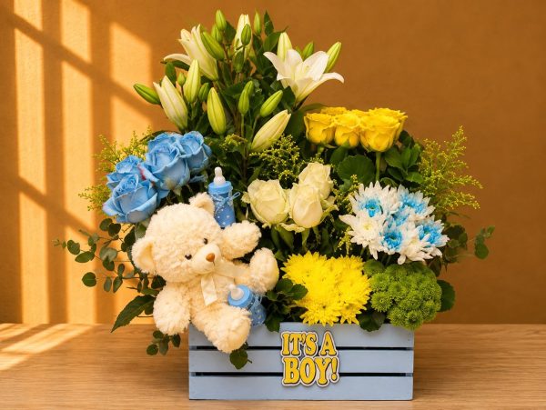 Baby Boy 13