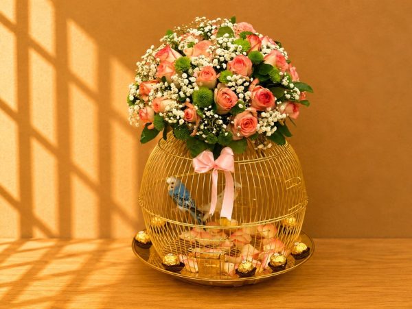 Love Bird Cage 3