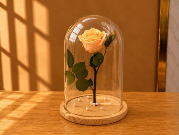 Forever Rose 3