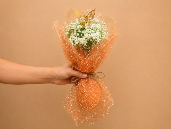 Sedra Special Offer 10