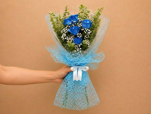 Sedra Special Offer 12