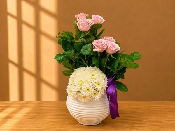 Sedra Special Offer 18
