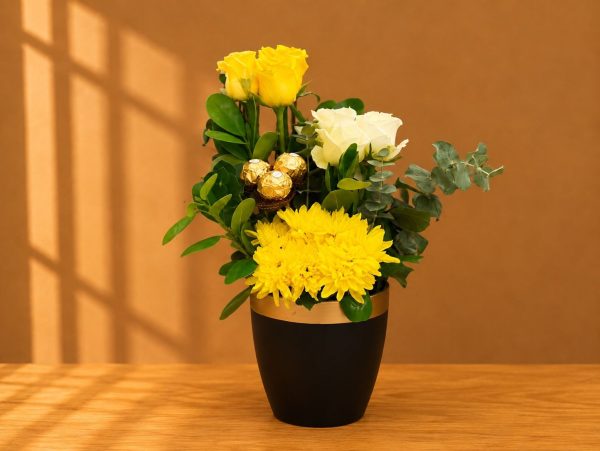 Sedra Special Offer 19