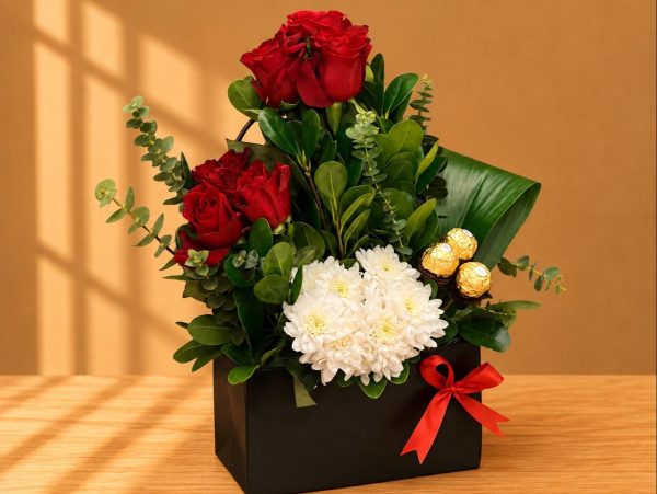 Sedra Special Offer 24