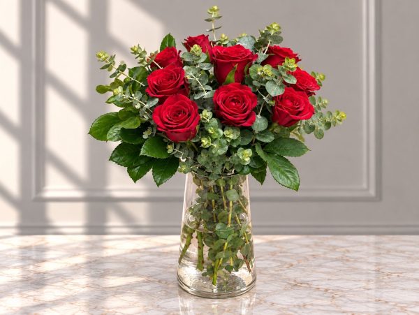 Sedra Special Offer 41