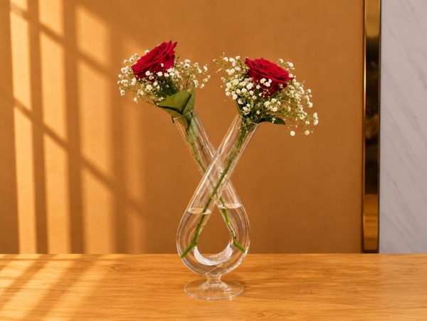 Sedra Special Offer 5